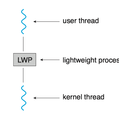 light-weight process-w205