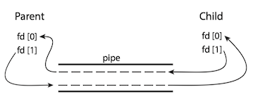 file_descriptors_for_an_ordinary_pipes
